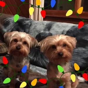 Meet your Posher, Lynne